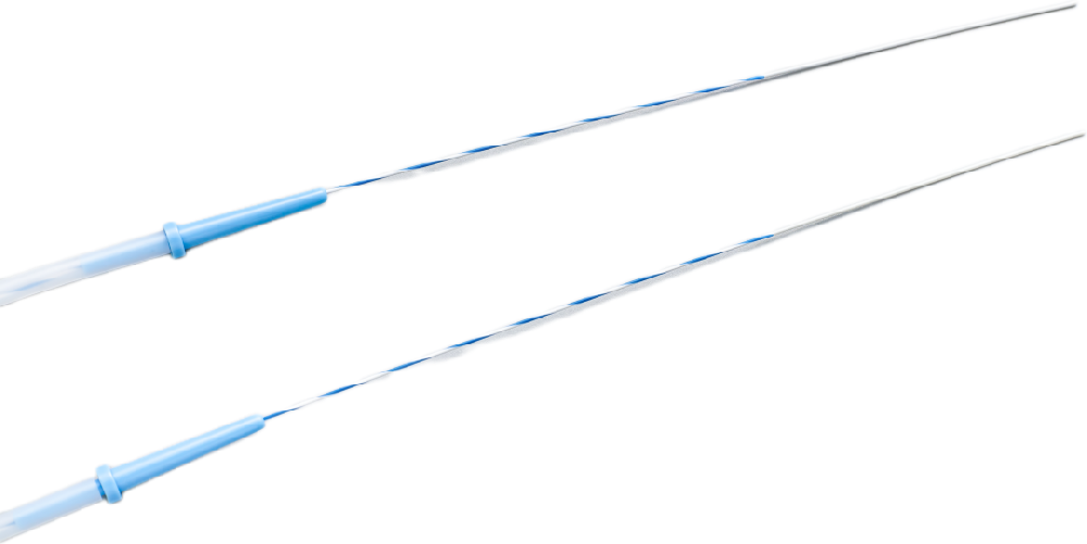 斑馬導絲 斑馬導絲